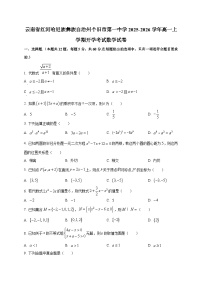 云南省红河哈尼族彝族自治州个旧市第一中学2025-2026学年高一上学期开学考试数学试卷（含答案）
