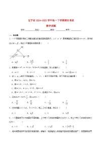 辽宁省2024_2025学年高一数学下学期期末考试含解析 (1)