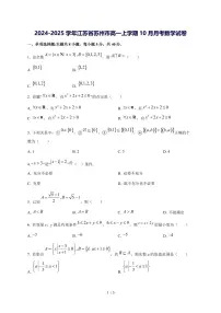 2024^2025学年江苏省苏州市高一（上）10月月考数学试卷
