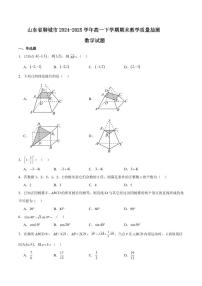 山东省聊城市2024-2025学年高一下学期期末考试数学试卷+答案