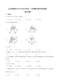 山东省聊城市2024-2025学年高一下学期期末考试数学试卷+答案