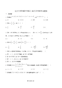 湖南省长沙市长沙大学附属中学2026届高三上学期10月月考数学试卷（Word版附解析）