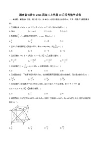 湖南省长沙市2026届高三上学期10月月考数学试卷（含答案）