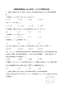 湖南省湘潭地区2026届高三10月月考数学试卷（含答案）