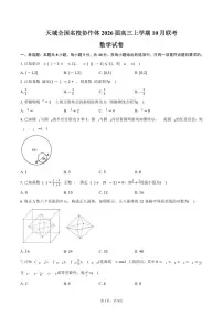 天域全国名校协作体2026届高三上学期10月联考数学试卷(含答案)