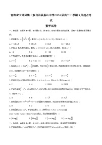 青海省西宁市大通回族土族自治县朔山中学2026届高三上学期9月起点考试数学试卷（含答案）