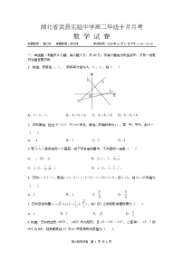 湖北省武昌实验中学2025-2026学年高二上学期10月月考数学试卷(Word版附答案)