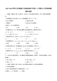2025-2026学年江苏省镇江市实验高级中学高二上学期10月阶段检测数学试卷（含答案）