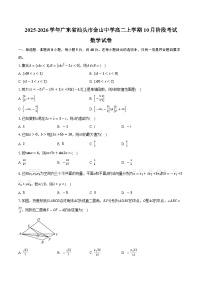 2025-2026学年广东省汕头市金山中学高二上学期10月阶段考试数学试卷（含答案）