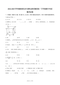 湖南省长沙市雅礼教育集团2024-2025学年高一下学期期中考试数学试卷+答案