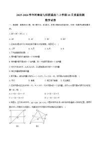 2025-2026学年河南省九师联盟高二上学期10月质量检测数学试卷（含答案）
