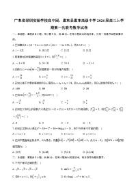 广东省深圳实验学校高中园、惠东县惠东高级中学2026届高三上学期第一次联考数学试卷（含答案）