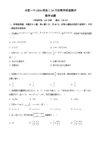 安徽省合肥市第一中学2026届高三上学期10月教学质量测评数学试题(Word版附解析)