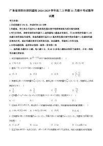 广东省深圳市深圳盟校2024-2025学年高二上学期11月期中考试数学试题及答案