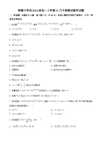 四川省成都市树德中学2024-2025学年高一上学期期中考试数学试题及答案