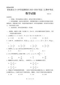 山东省青岛市五十八中高新校区2025-2026学年高三上学期期中考试数学试题