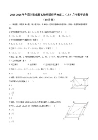 2025-2026学年四川省成都实验外国语学校高二（上）月考数学试卷（10月份）-自定义类型