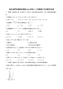 湖北省鄂东南教育联盟2026届高三上学期期中考试数学试卷（含答案）