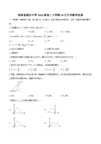陕西省镇安中学2026届高三上学期10月月考数学试卷（含答案）
