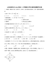 山东省青岛市2026届高三上学期部分学生调研检测数学试卷（含答案）