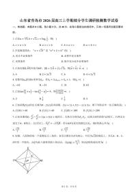 山东省青岛市2026届高三上学期部分学生调研检测数学试卷（含答案）