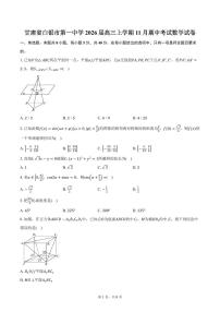甘肃省白银市第一中学2026届高三上学期11月期中考试数学试卷（含答案）