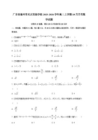 广东省惠州市光正实验学校2025~2026学年高二上册（10月）月考数学试卷