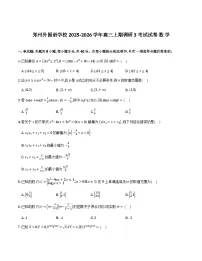 河南省郑州外国语学校2026届高三上学期调研3数学试卷及解析(10月)