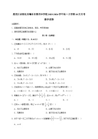 黑龙江省绥化市肇东市第四中学校2025~2026学年高一上册（10月）月考数学试卷（含解析）