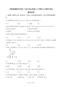 甘肃省嘉峪关市第一中学2026届高三上学期11月期中数学试卷(含答案)