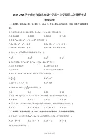 2025-2026学年江苏省南京市励志高级中学高一上学期第二次调研考试数学试卷（含答案）