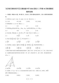 江苏省无锡市经开区太湖高级中学2026届高三上学期10月阶段测试数学试卷（含答案）