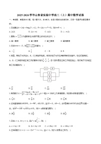 2025-2026学年山东省实验中学高三（上）期中数学试卷（含答案）