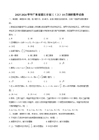 2025-2026学年广东省湛江市高三（上）10月调研数学试卷（含答案）