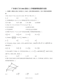 广东省江门市2026届高三上学期调研测试数学试卷（含答案）