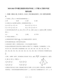 2025-2026学年湖北省新高考协作体高二上学期11月期中数学试卷（含答案）