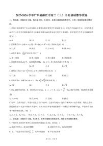 2025-2026学年广东省湛江市高三（上）10月调研数学试卷（含答案）