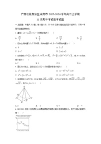 广西壮族自治区来宾市2025-2026学年高二上学期11月期中考试数学试卷（学生版）