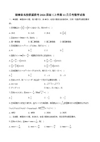 湖南省名校联盟联考2026届高三上学期11月月考数学试卷（含答案）