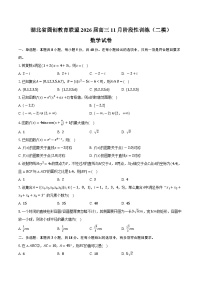 湖北省圆创教育联盟2026届高三11月阶段性训练（二模）数学试卷（含答案）
