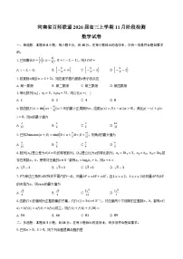河南省百师联盟2026届高三上学期11月阶段检测数学试卷（含答案）
