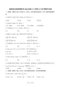 湖南省名校联盟联考2026届高三上学期11月月考数学试卷（含答案）