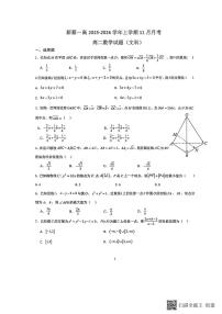 河南省驻马店市新蔡县第一高级中学2025-2026学年高二上学期11月月考数学（文科）试题