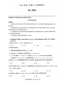 湖北省圆创联盟2025-2026学年高二上学期11月期中考试数学试卷