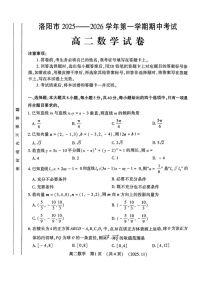 河南省洛阳市2025-2026学年高二上学期11月期中考试数学试卷