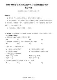 2026届河南新未来大联考高三上学期11月模拟预测数学试题+答案
