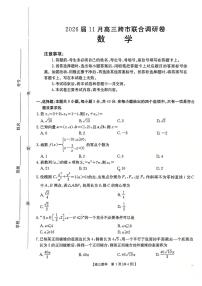 广西跨市联合百校联考2026届高三上学期11月调研数学试卷+答案