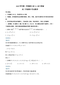 浙江省91高中联盟2025-2026学年高二上学期11月期中考试数学试卷（Word版附解析）