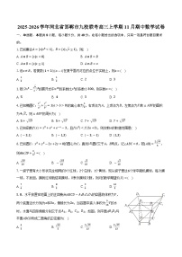 2025-2026学年河北省邯郸市九校联考高三上学期11月期中数学试卷（含答案）