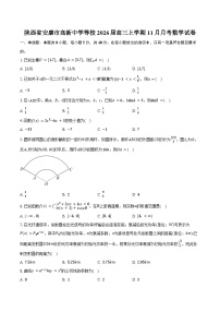 陕西省安康市高新中学等校2026届高三上学期11月月考数学试卷（含答案）